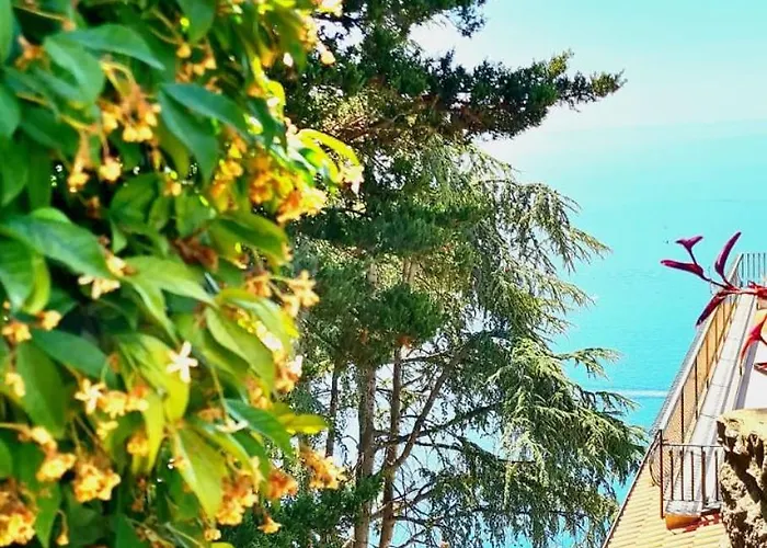 Blu Costiera Διαμέρισμα